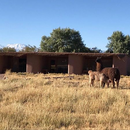Eco-Lodge El Andinista Σαν Πέδρο ντε Ατακάμα Εξωτερικό φωτογραφία