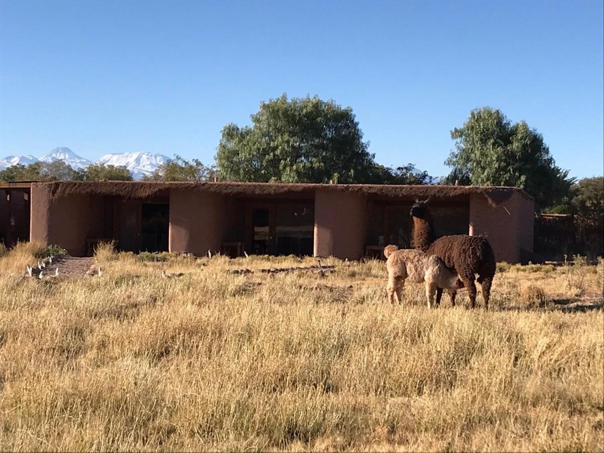 Eco-Lodge El Andinista Σαν Πέδρο ντε Ατακάμα Εξωτερικό φωτογραφία