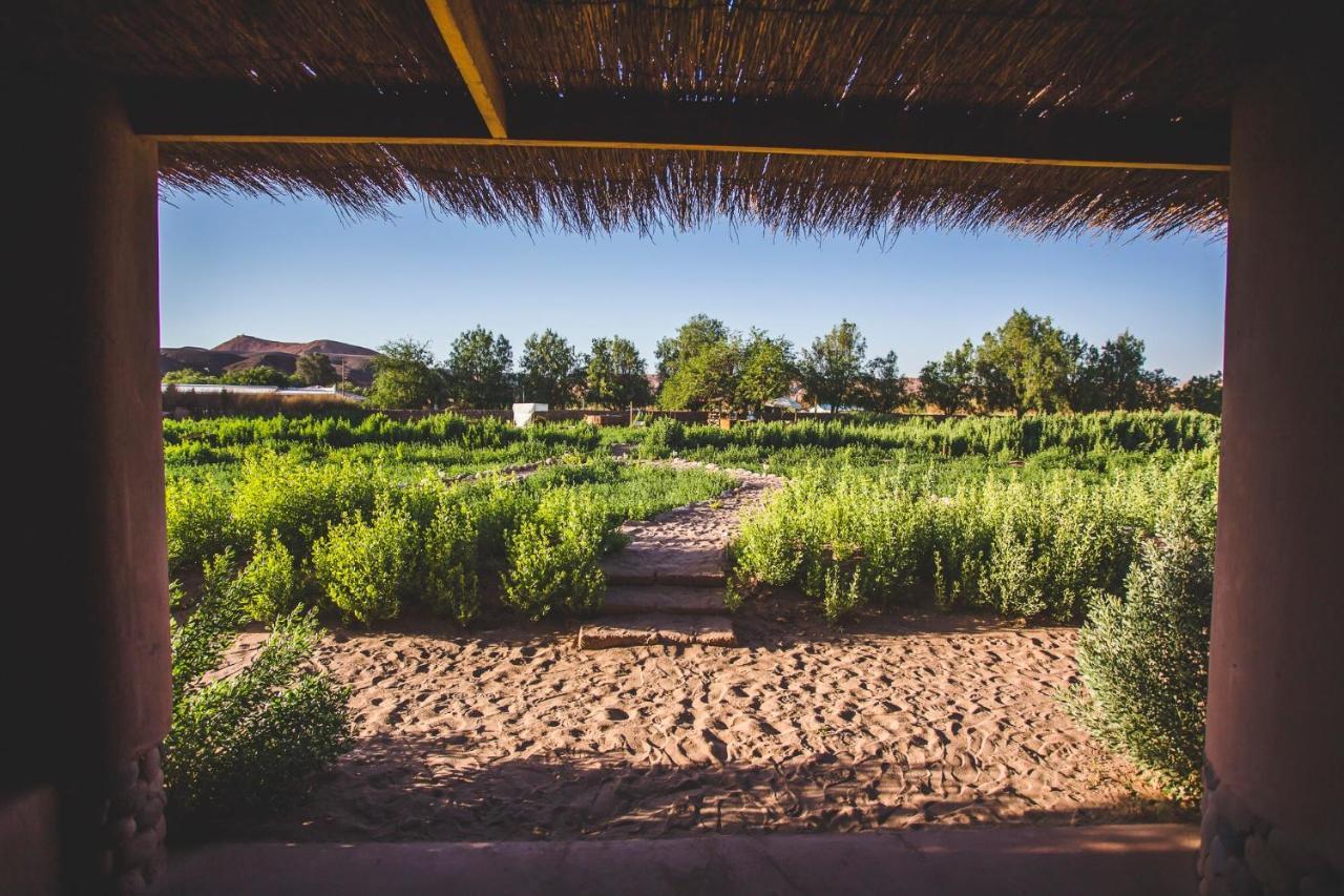 Eco-Lodge El Andinista Σαν Πέδρο ντε Ατακάμα Εξωτερικό φωτογραφία