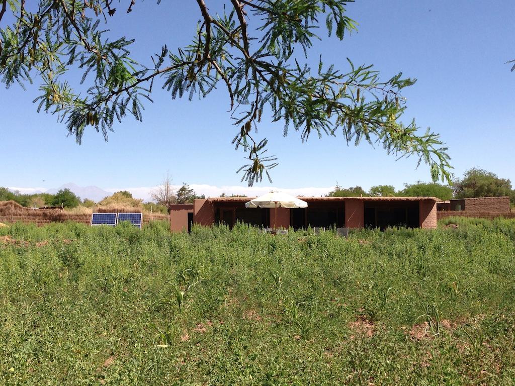 Eco-Lodge El Andinista Σαν Πέδρο ντε Ατακάμα Εξωτερικό φωτογραφία