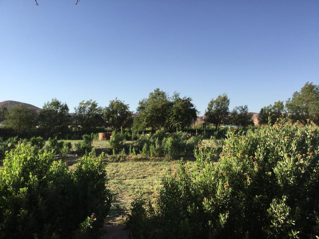 Eco-Lodge El Andinista Σαν Πέδρο ντε Ατακάμα Εξωτερικό φωτογραφία